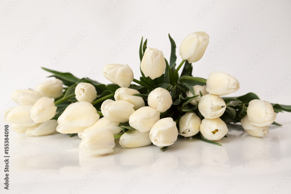 Spring flowers on a white background Spring flowers on a white background