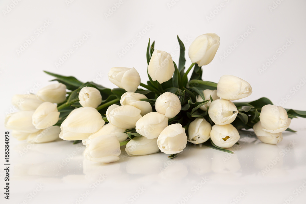 Spring flowers on a white background