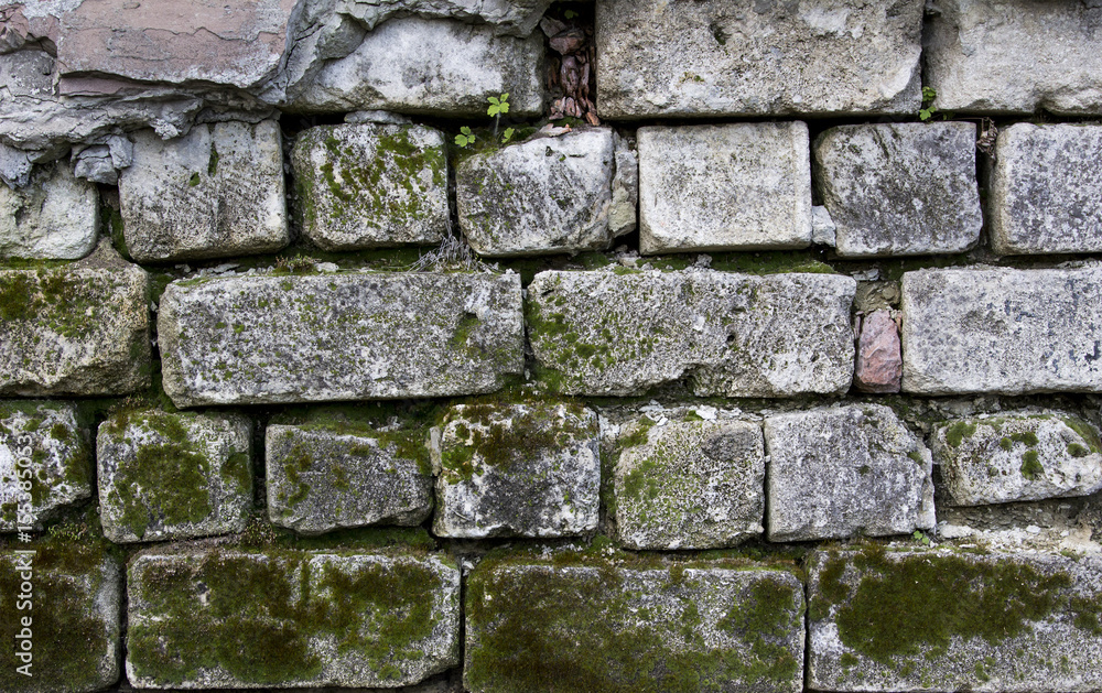 Old White Brick Wall With Moss Can Use For Background Old White Brick Wall With Moss Can Use For Background