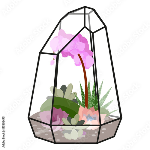 Vector illustration with glass florarium