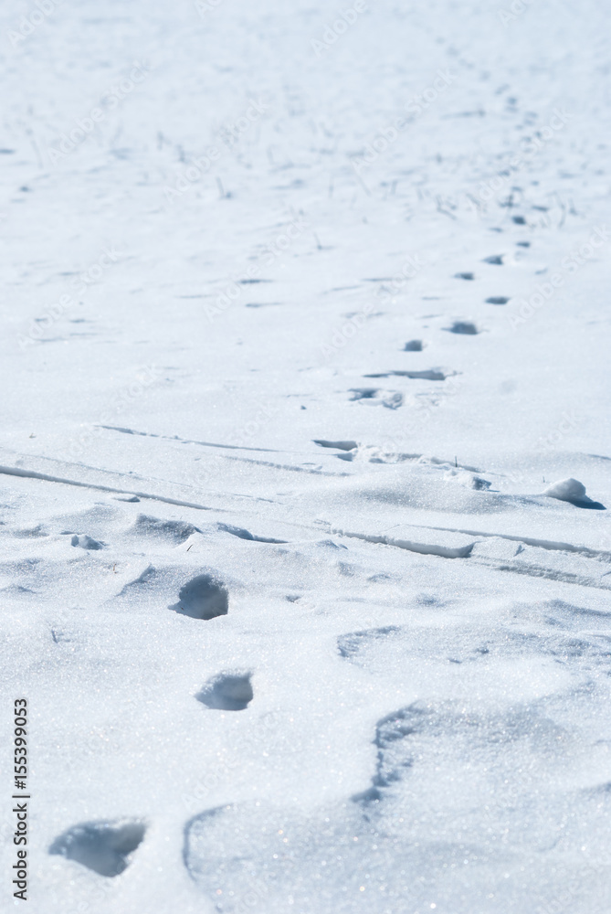 footprints on snow footprints on snow