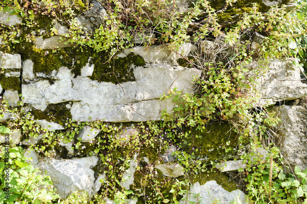 Obraz premium Bruchsteinmauer