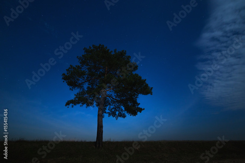 Coniferous tree on a background of the night star sky. The landscape is photographed by moonlight.