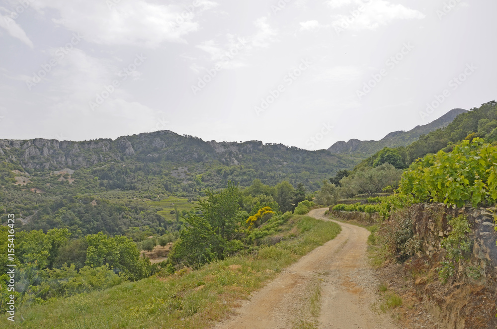 Chemin de randonnée entre Vourliotes et Manoletes (Samos)