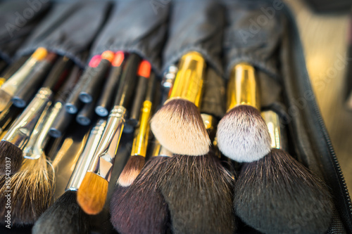 Professional make up cosmetic brushes
