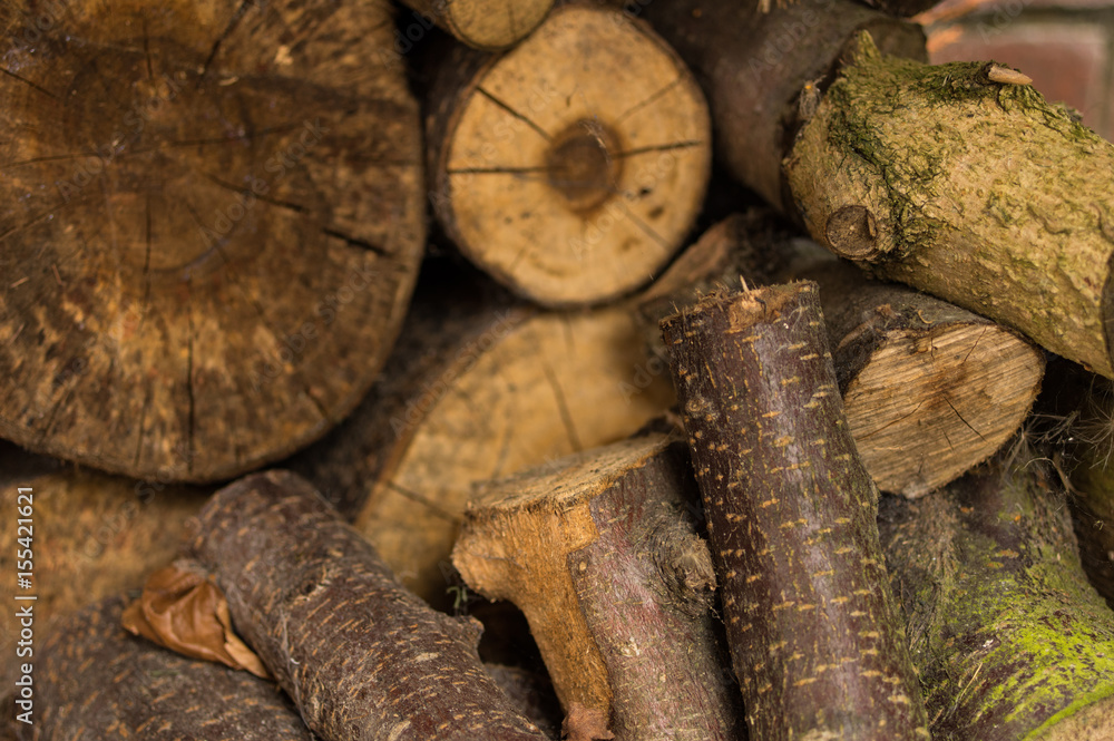 Cut logs in a wood pile Cut logs in a wood pile