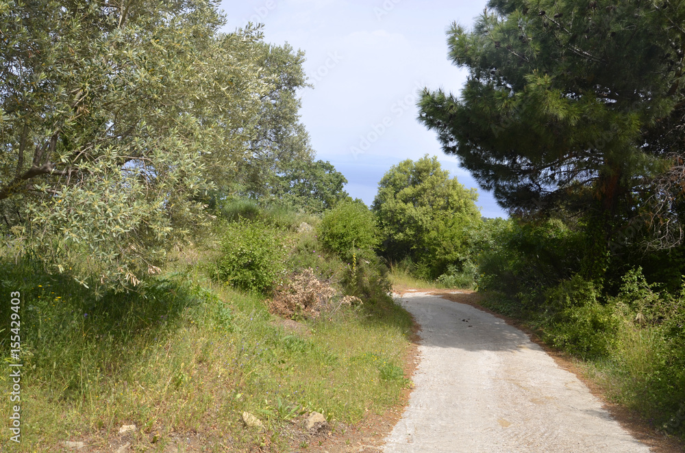 Chemin de randonnée entre Vourliotes et Manoletes (Samos)