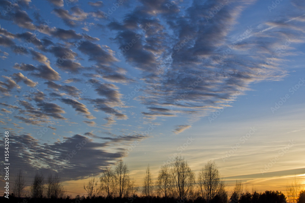 Obraz premium Sunset, beautiful evening sky over the forest