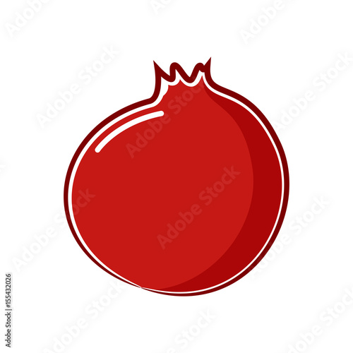 Vector illustration of pomegranate.