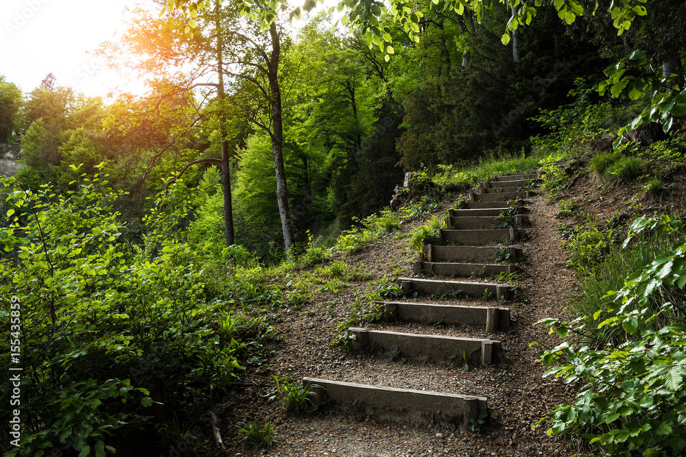 Fototapeta premium Stairs going up hillside in green forest toward sunset