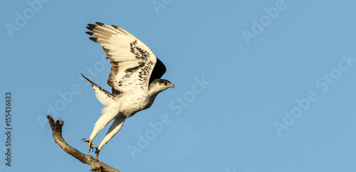 Taking off