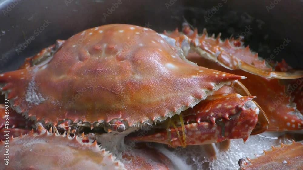 Cooking Steamed delicious crabs in boiling foam pot. Cooking Steamed delicious crabs in boiling foam pot.