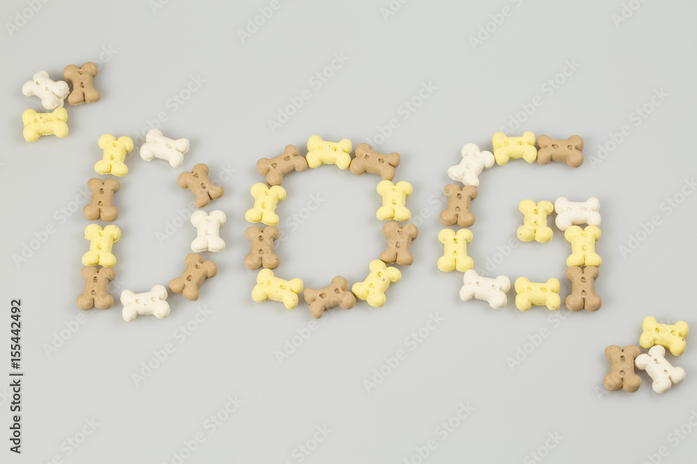 Dog cookies on a white background, top view