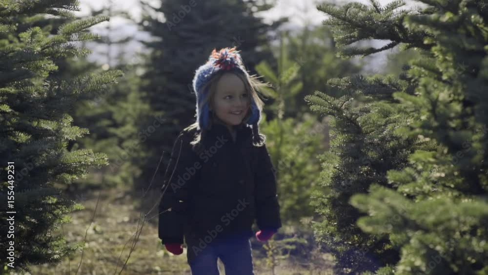 Closeup Of Happy Little Boy Playing Hide And Seek With His Dad, In Christmas Tree Farm Closeup Of Happy Little Boy Playing Hide And Seek With His Dad, In Christmas Tree Farm