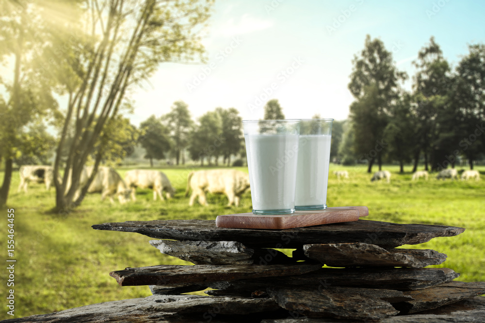 cows and fresh milk 