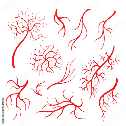 Human eye veins or vessel, red capillaries, blood arteries isolated set