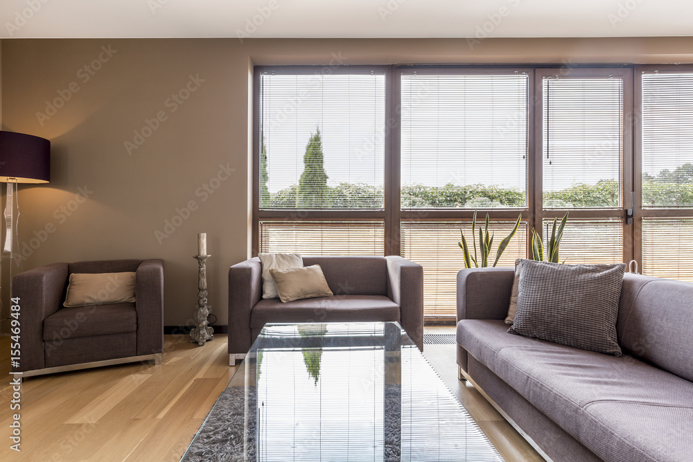 Fototapeta premium Spacious lounge room with grey sofas