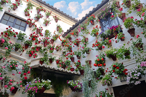 Flowers in flowerpot on the walls on streets of Cordoba, Spain