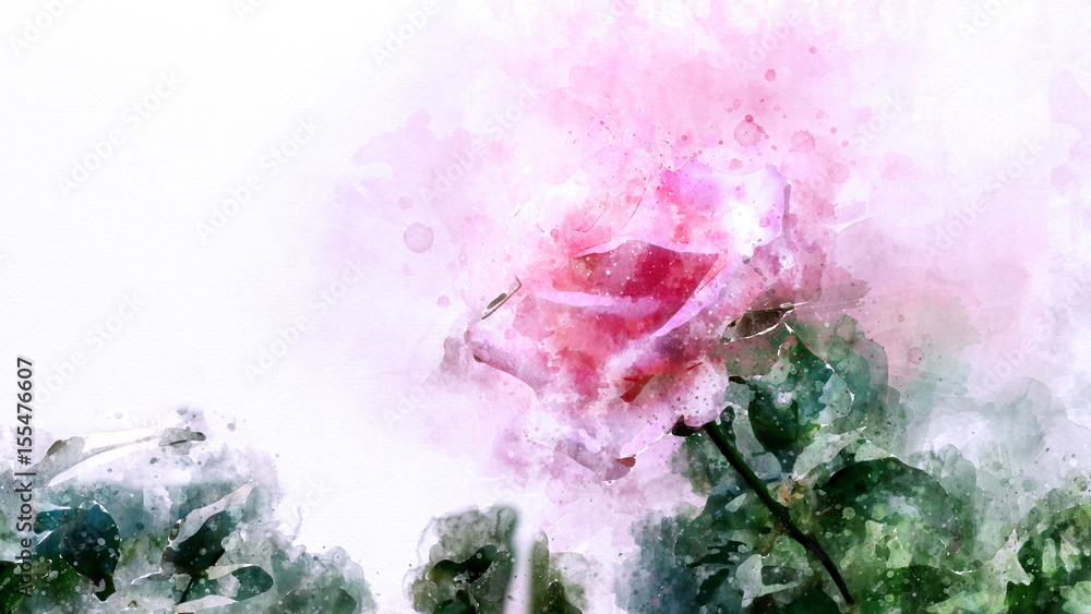Obraz premium Roses watercolor painting, digital illustration art for using to be background