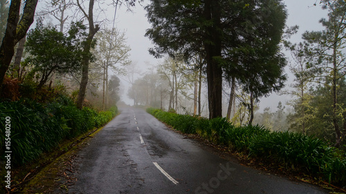 Madeira - Foggy forest near Porto Moniz with empty road
