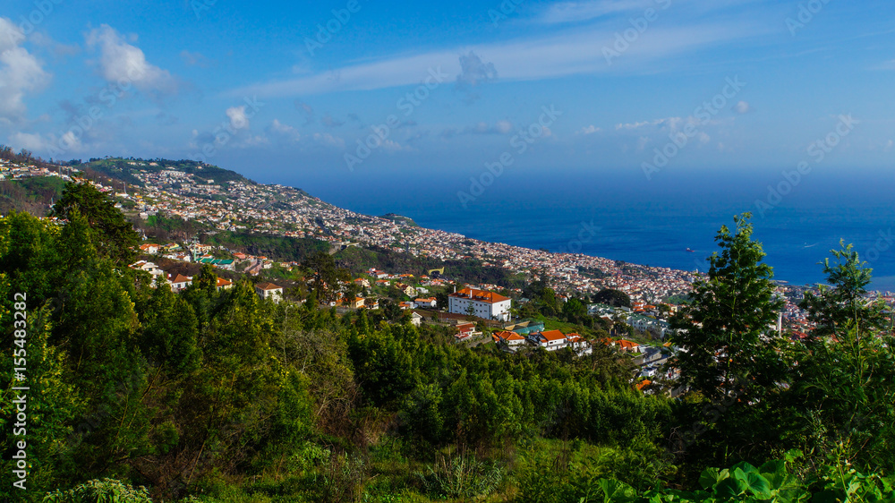 Madeira - View down to blue water of the ocean from Monte with green trees