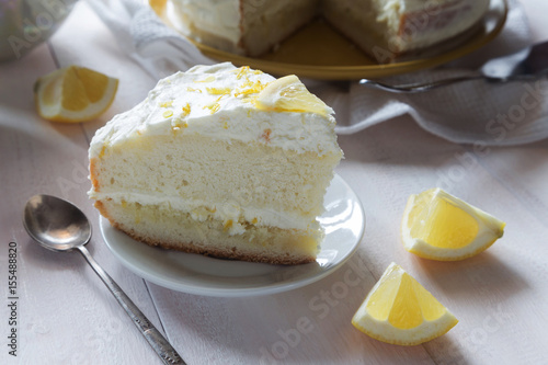 Piece of Lemon sponge cake with zest