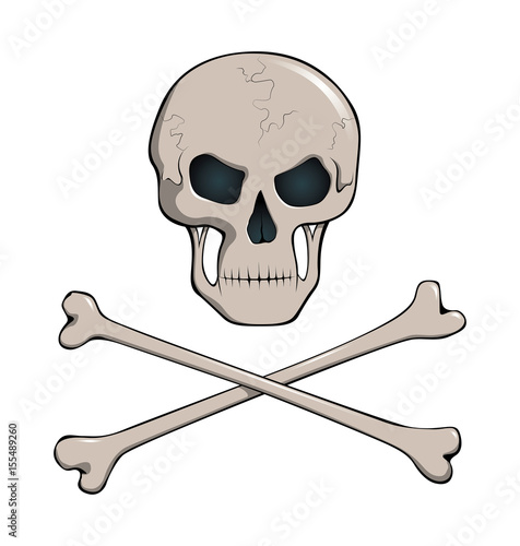 skull