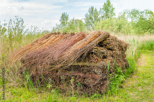 Big heap with bundled willow branches