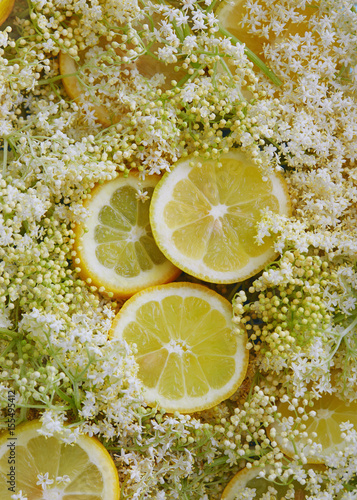 Foto Elderflowers and lemon slices