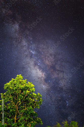 High contrast vertical milky way foreground with bluring green tree