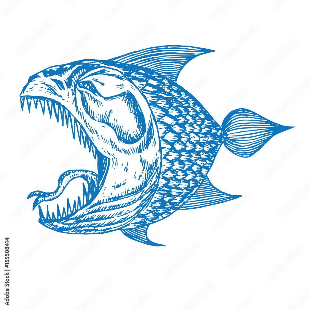 Piranhas fish profile, open mouth with sharp teeth and long tongue ...