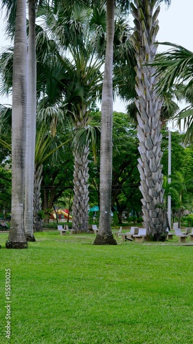 Bangkok Lumpini Park à Saton - Silom