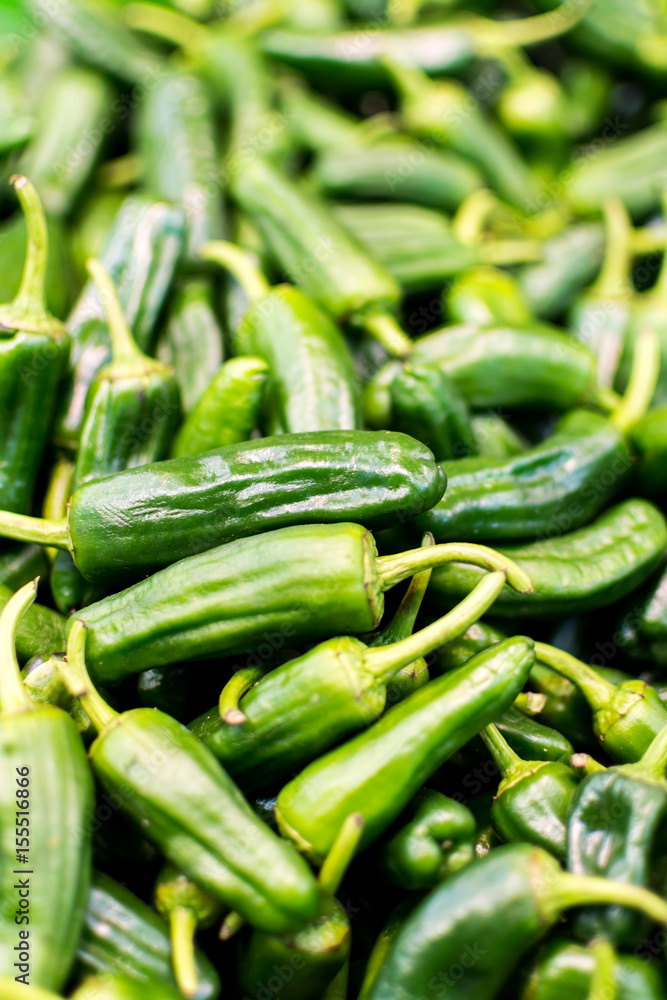 Organic Padron Green Peppers Background. Stack of Raw Padron Peppers Close Up. Organic Padron Green Peppers Background. Stack of Raw Padron Peppers Close Up.
