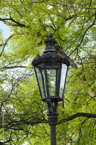 Vintage park lamp