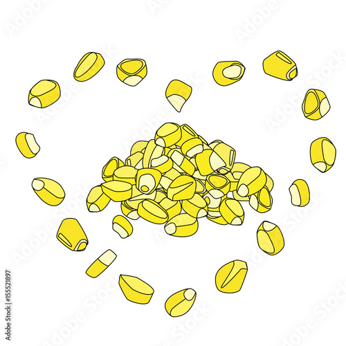 yellow corn seed