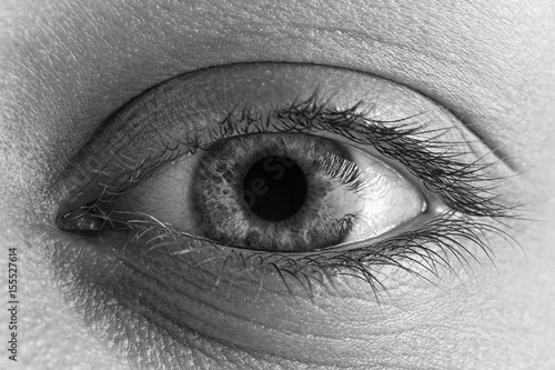 Female Bright Eye With Long Lashes Close Up. Human Eye Macro Detail.