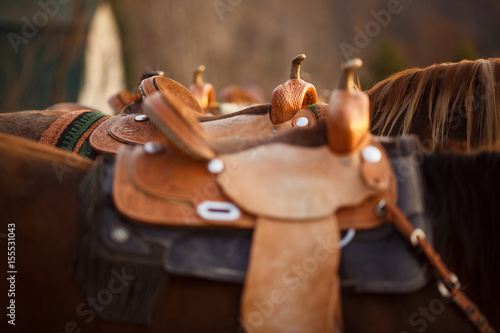 Western Saddles photo