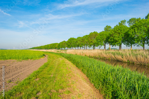 Canal through the countryside in spring 