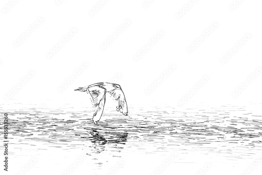Obraz premium Seagull over water.