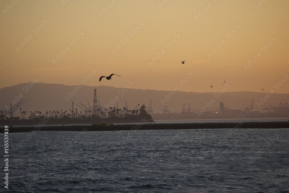 Obraz premium Bird1