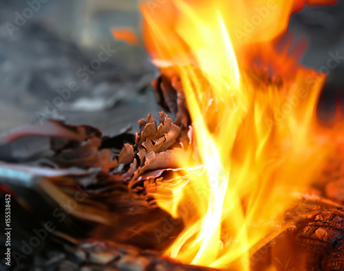 fire in the fire burns out of paper, burn the pages of a book on the coals with flying sparks.. © Unive