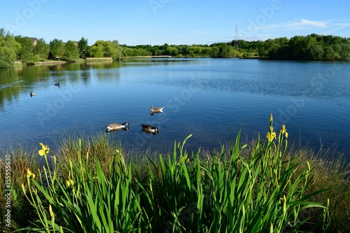 Wath Manvers Lake photo