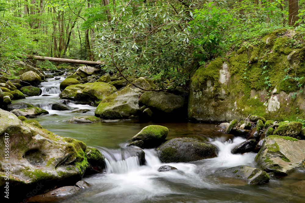 Smoky Mountains National Park Mossy creek cascade Smoky Mountains National Park Mossy creek cascade