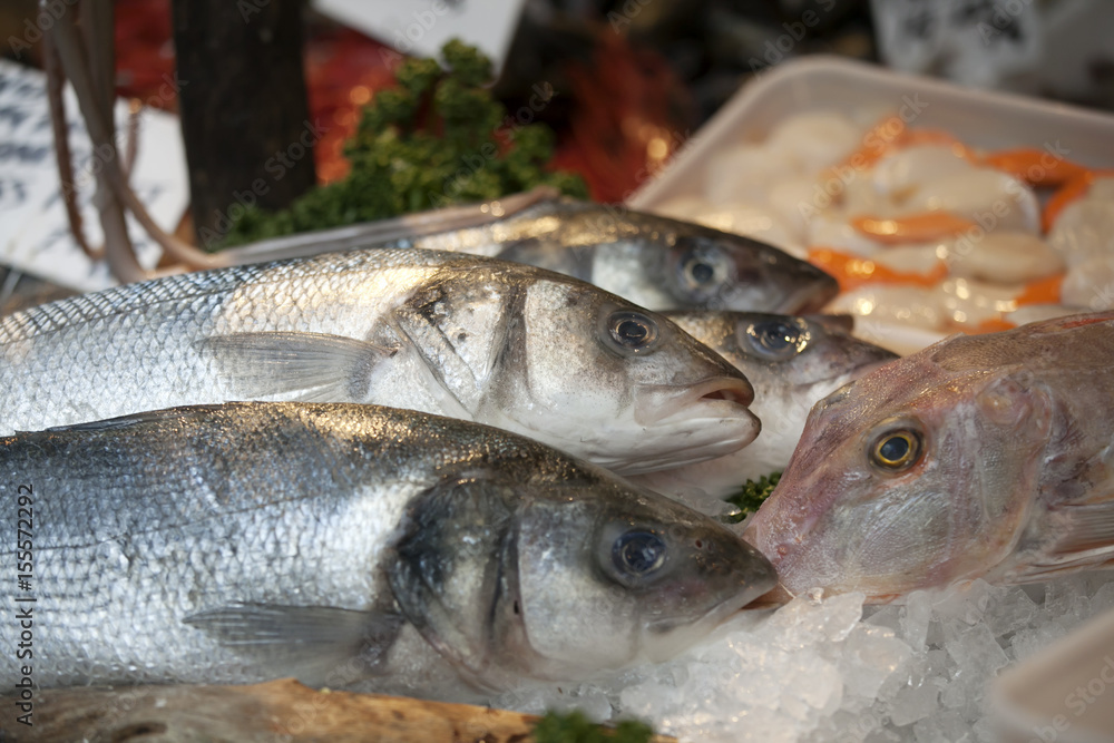 the Wild sea bass for sale at Borough Market, London the Wild sea bass for sale at Borough Market, London