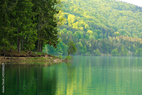 Colorful shore of mountain forest by lake in morning sunlight