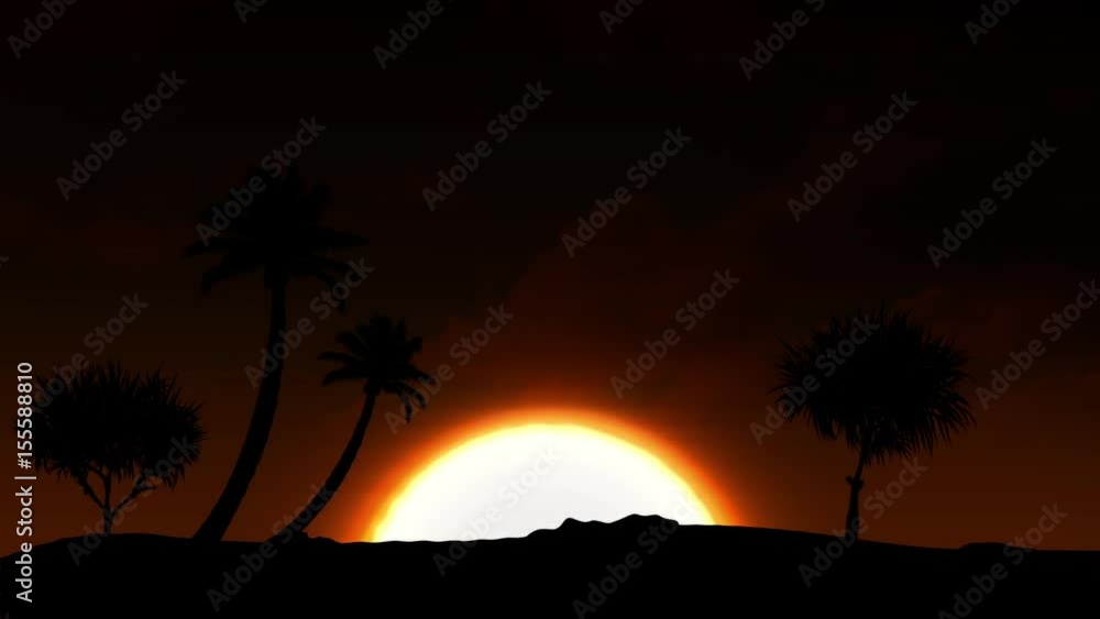Beautiful sunrise with palm Beautiful sunrise with palm