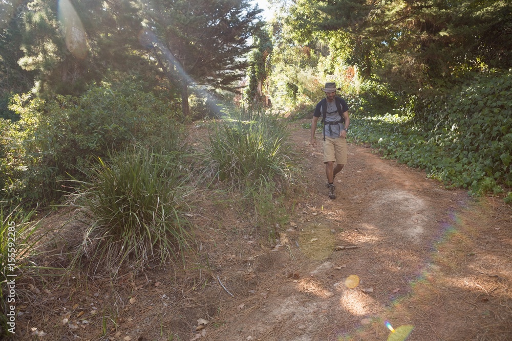 Man with backpack walking on the path in forest Man with backpack walking on the path in forest