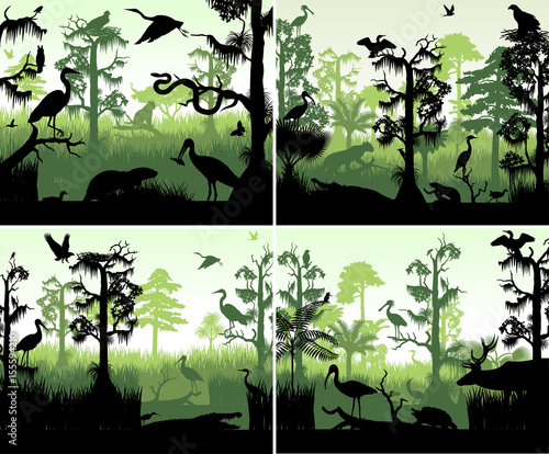 Fotografia set of vector rainforest wetland silhouettes in sunset design template with anim