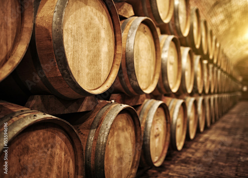 Vászonkép Wine barrels in wine-vaults in order