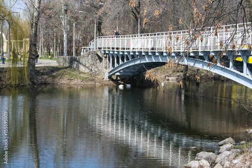 Pedestrian bridge in the park "Oak Grove"